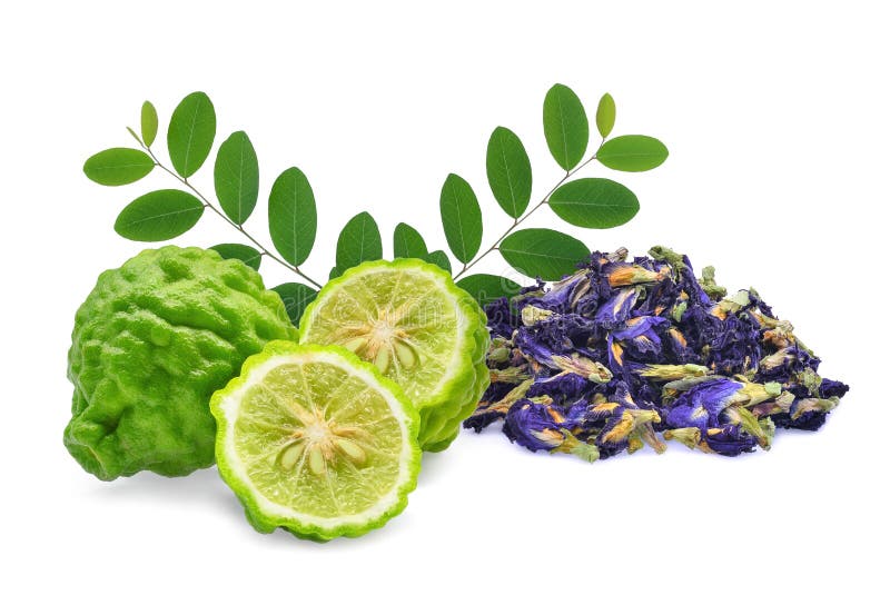 Бергамот и высушенный горох бабочки, голубой горох, ternatea clitoria или цветок aparajita изолированные на белой предпосылке стоковые изображения Бергамот и высушенный горох бабочки, голубой горох, ternatea clitoria или цветок aparajita изолированные на белой предпосылке стоковые изображения