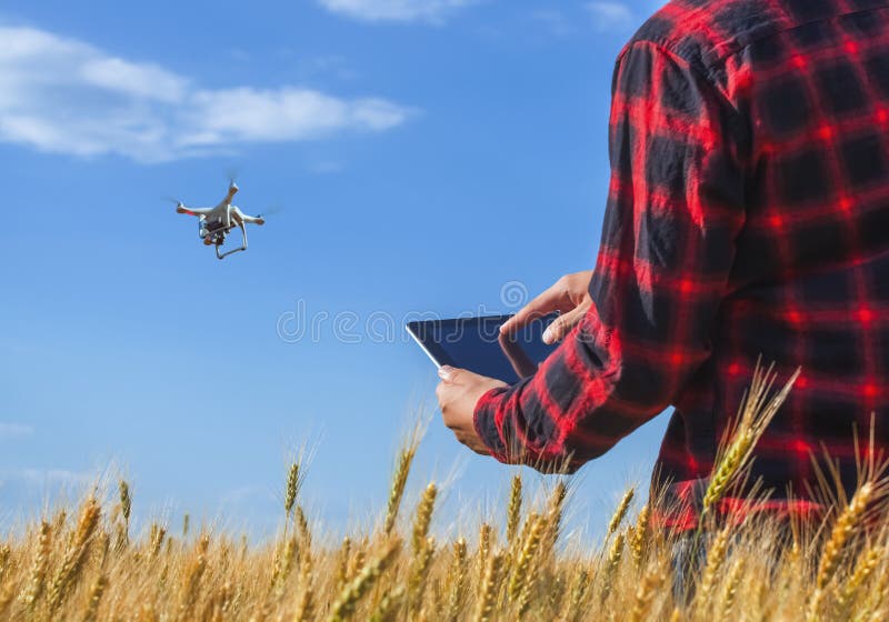 Бизнесмен на поле зрелой пшеницы держит планшет и контролирует quadcopter стоковые фотографии rf Бизнесмен на поле зрелой пшеницы держит планшет и контролирует quadcopter стоковые фотографии rf