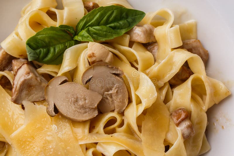 Блюдо макаронных изделий Tagliatelle вегетарианское с грибами украшенными с базиликом Очень вкусный обед с макаронными изделиями стоковое фото rf Блюдо макаронных изделий Tagliatelle вегетарианское с грибами украшенными с базиликом Очень вкусный обед с макаронными изделиями стоковое фото rf