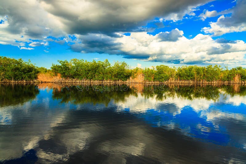 Beautiful landscape of a waterway with reflection along the Grand Cypress Preserve in the Florida Everglades. Beautiful landscape of a waterway with reflection along the Grand Cypress Preserve in the Florida Everglades.