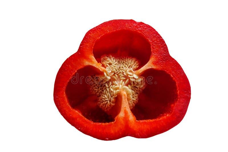 Болгарский перец большого зрелого Capsicum перца annuum или сладкий в отрезке Вегетарианская концепция Органические витамины r стоковое фото