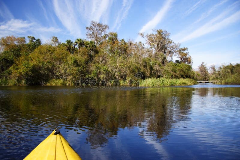 болотистые низменности kayaking стоковая фотография rf болотистые низменности kayaking стоковая фотография rf