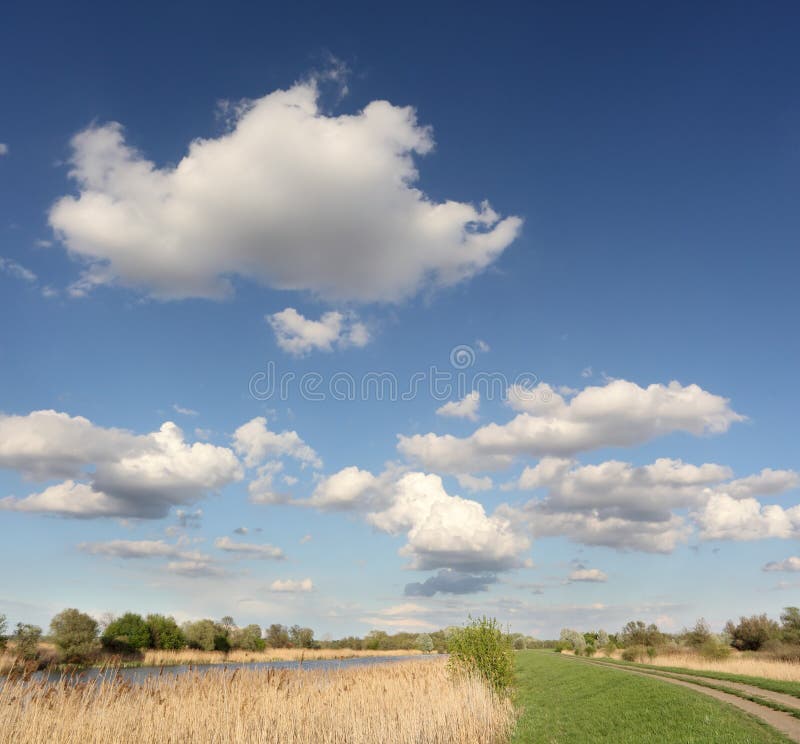 Marsh landscape, Carska Bara near to Zrenjanin Serbia. Marsh landscape, Carska Bara near to Zrenjanin Serbia