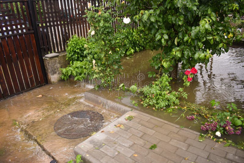 Большие потоки воды после массивного дождя шторма Сад и заводы покрыты с грязной водой Много повреждений после тяжелого стоковые фото Большие потоки воды после массивного дождя шторма Сад и заводы покрыты с грязной водой Много повреждений после тяжелого стоковые фото