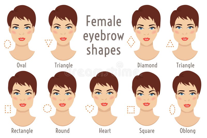 Set of vector eyebrow shapes. Eyebrows that are suited to different types of woman face. Set of illustrations with captions. Various forms of woman faces. Stock vector illustration. Set of vector eyebrow shapes. Eyebrows that are suited to different types of woman face. Set of illustrations with captions. Various forms of woman faces. Stock vector illustration.