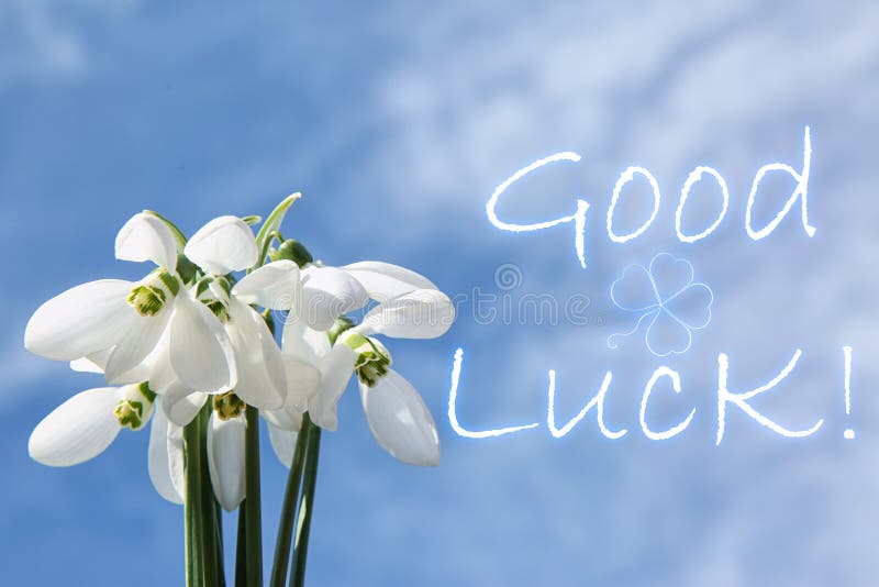 Букет красивых сноубордистов и фразы GOOD LUCK на небе стоковое изображение rf