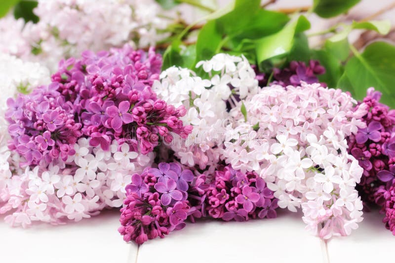 Сирень цветет букет в корзине Wisker Стоковое Изображение - изображение ...