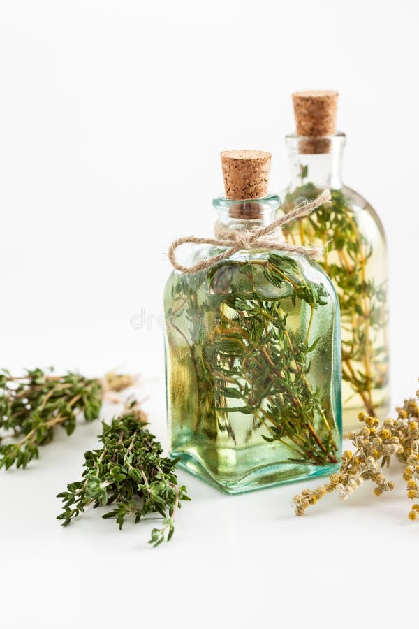 Bottles of thyme and rosemary essential oil or infusion and bunches of healthy herbs on white, herbal medicine. Bottles of thyme and rosemary essential oil or infusion and bunches of healthy herbs on white, herbal medicine.