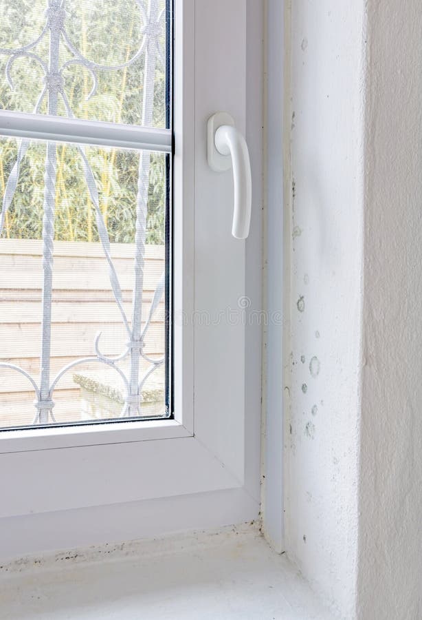 Early stage of rising damp mold on interior wall and window frame. Early stage of rising damp mold on interior wall and window frame