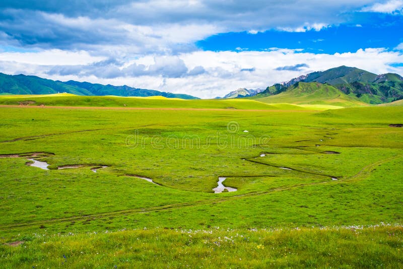В начале осени ruoergai луговых scenery стоковые фото