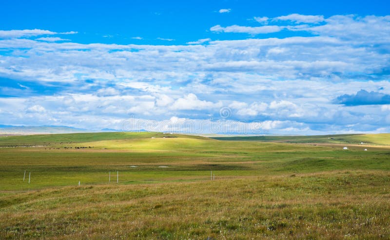 В начале осени ruoergai луговых scenery стоковые изображения rf