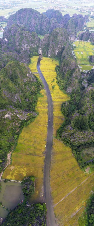 В результате снимок поля и реки риса в binh Вьетнаме ninh стоковые фото
