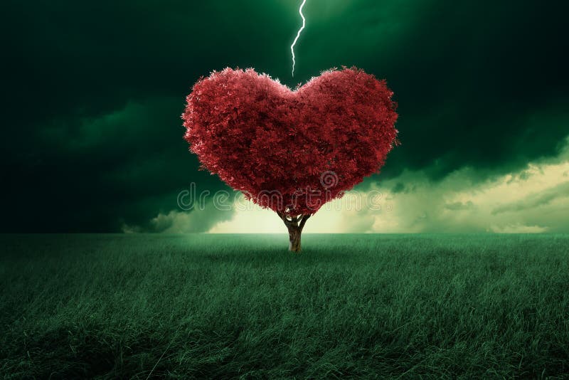 Tree in the shape of heart hit from a lightning. Tree in the shape of heart hit from a lightning