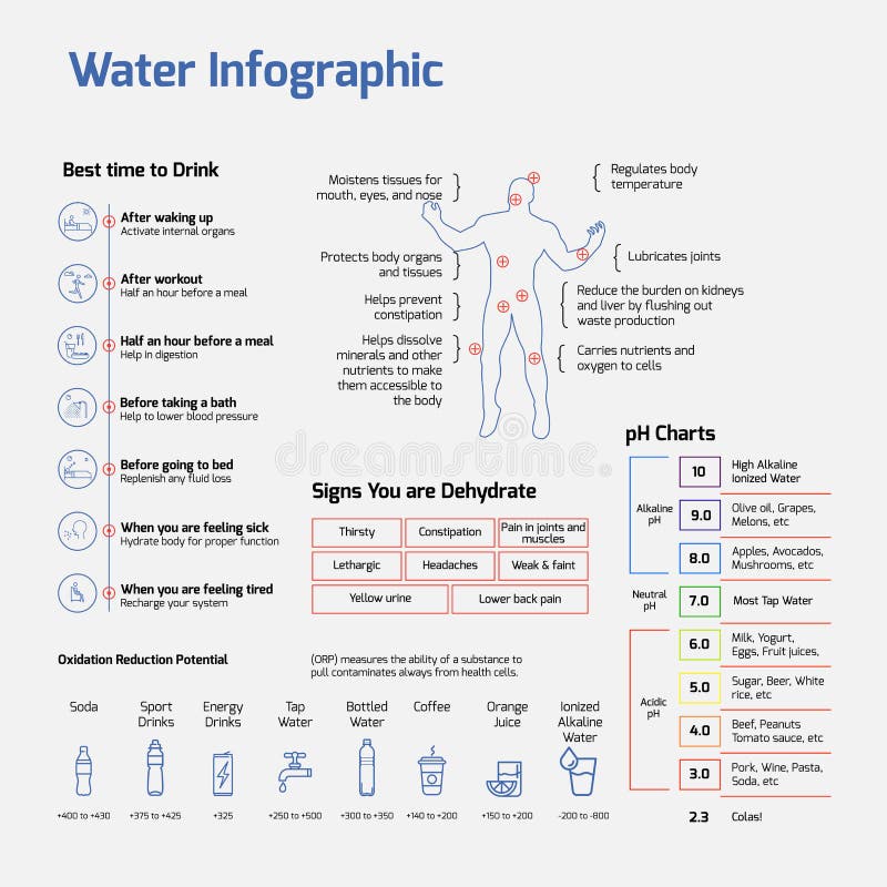 Важность infographics воды времени лучше всего пить цифры рн воды. бесплатная иллюстрация