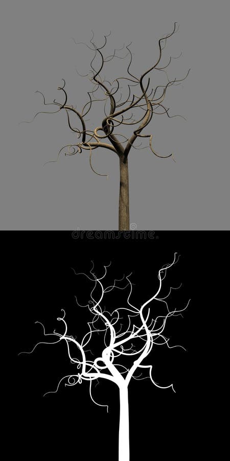 Computer illustration of isolated single tree with empty spinal branches. Tree without leaves. Transparent mask (alpha channel) below. Computer illustration of isolated single tree with empty spinal branches. Tree without leaves. Transparent mask (alpha channel) below.