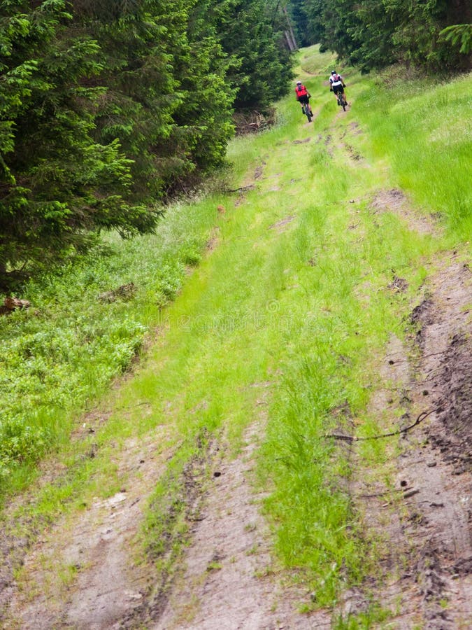 Small figures of two mtb cyclists riding through a green path of a wood or forest. Minimalistic composition. Small figures of two mtb cyclists riding through a green path of a wood or forest. Minimalistic composition.