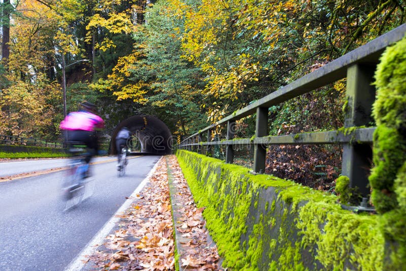 Cyclists rapidly moving toward an arched tunnel, carved into the rock, in the autumn road, surrounded by trees and framed yellowed fallen withered leaves, covered with moss along the fence of the bridge road. Cyclists rapidly moving toward an arched tunnel, carved into the rock, in the autumn road, surrounded by trees and framed yellowed fallen withered leaves, covered with moss along the fence of the bridge road.