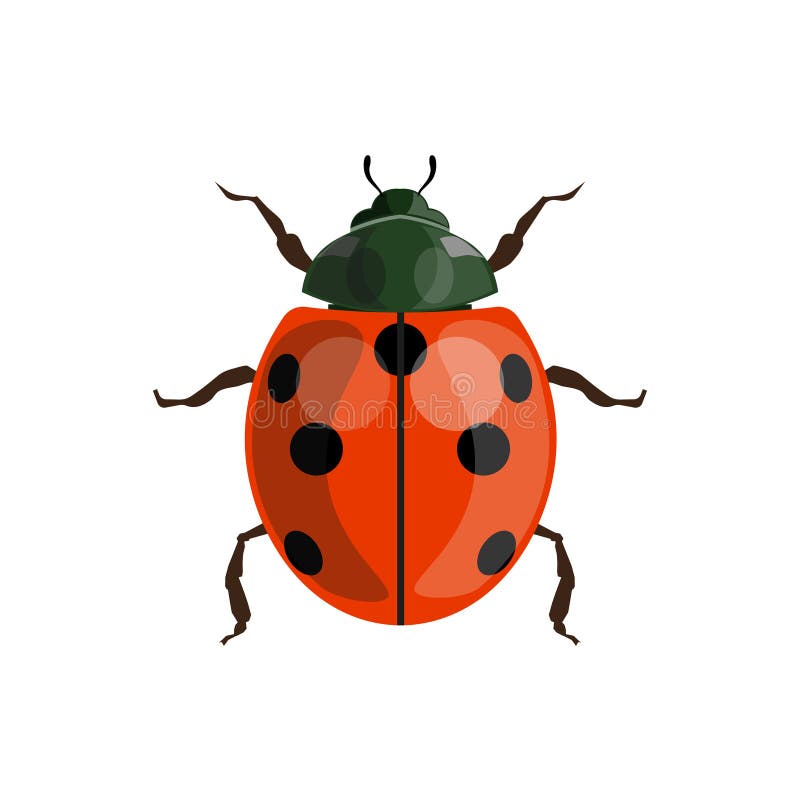 Вектор ladybird Ladybug иллюстрация штока Вектор ladybird Ladybug иллюстрация штока