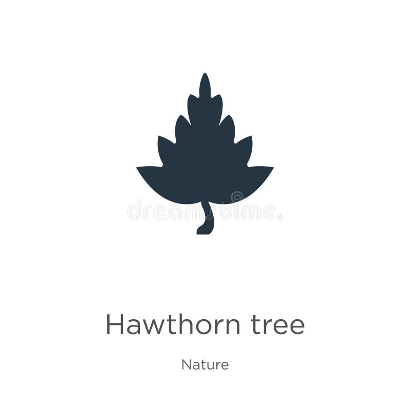 Вектор значка дерева Hawthorn иконка плоского дерева тренда из коллекции природы, изолированная на белом фоне Иллюстрация вектора бесплатная иллюстрация