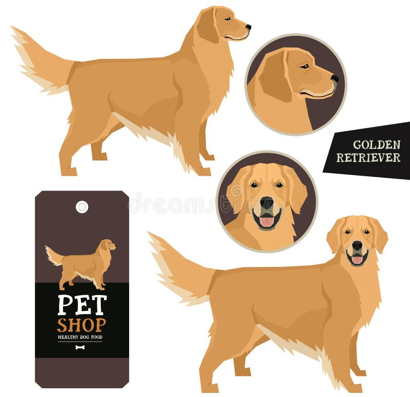 Векторная иллюстрация Dog Breeds Golden Retriever Изолированные объекты бесплатная иллюстрация