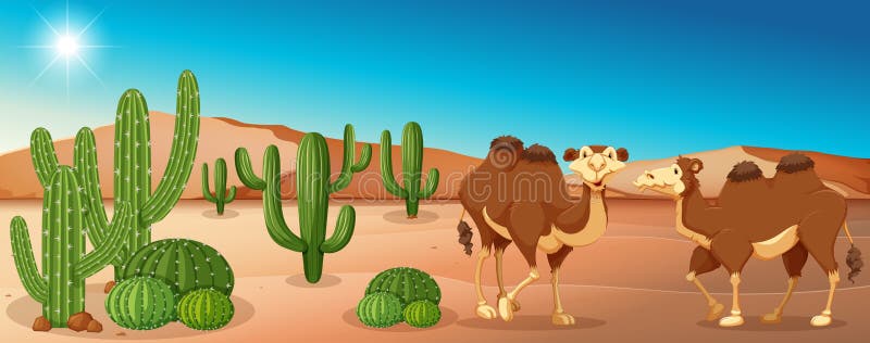 Верблюды и Кактусч в пустыни