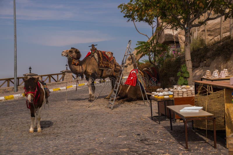 Верблюд в Cappadocia Турции, Uchisar Развлечения и каникулы в Cappadocia Турции Это традиционный верблюд катания деятельности стоковая фотография Верблюд в Cappadocia Турции, Uchisar Развлечения и каникулы в Cappadocia Турции Это традиционный верблюд катания деятельности стоковая фотография