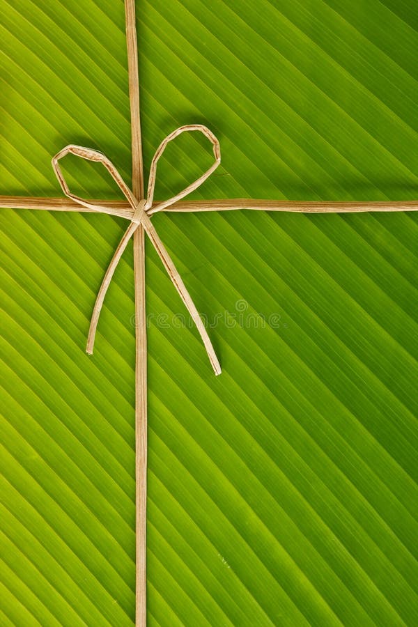 Ribbon and rope made from banana bark on banana leaf, global warning concept. Ribbon and rope made from banana bark on banana leaf, global warning concept