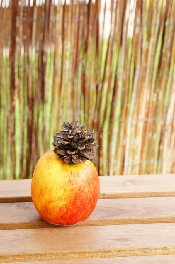 Вертикальная снимок: террористы взорвали pinecone на apple на деревянной поверхности стоковое изображение rf