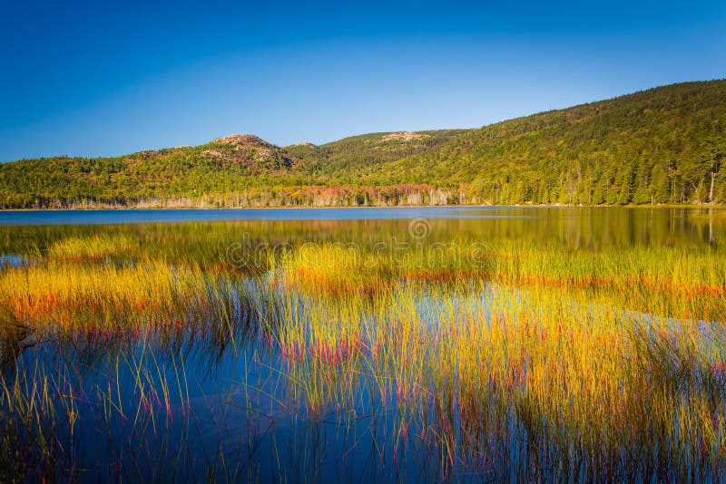 Upper Hadlock Pond in Acadia National Park, Maine. Upper Hadlock Pond in Acadia National Park, Maine