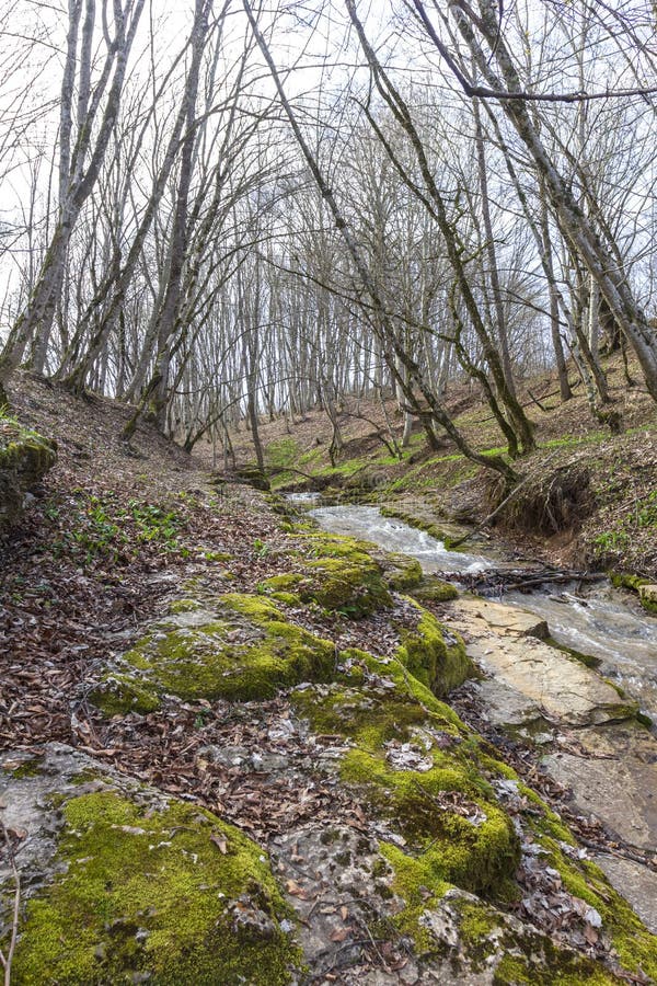 весна природа природный парк горная река в естественном канале с рапид и водопадами стоковая фотография