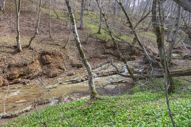 весна природа природный парк горная река в естественном канале с рапид и водопадами стоковая фотография