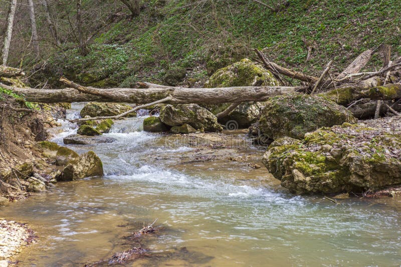 весна природа природный парк горная река в естественном канале с рапид и водопадами стоковое фото rf
