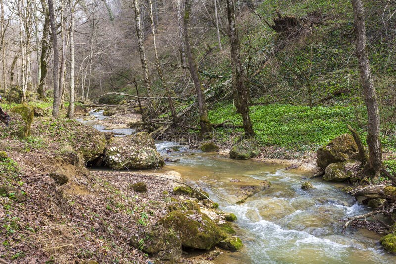 весна природа природный парк горная река в естественном канале с рапид и водопадами стоковая фотография