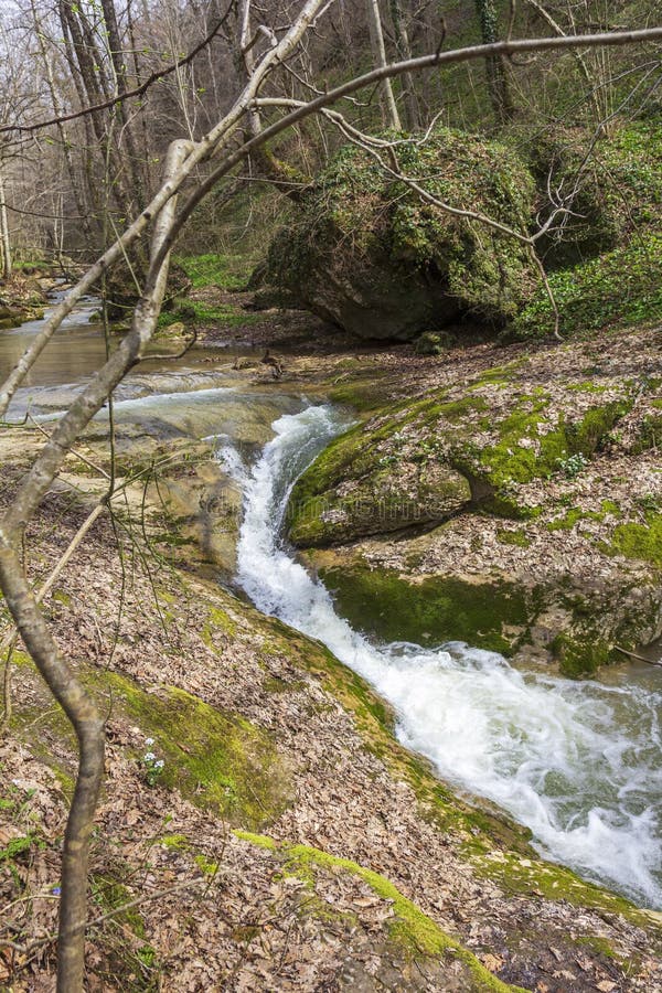 весна природа природный парк горная река в естественном канале с рапид и водопадами стоковая фотография