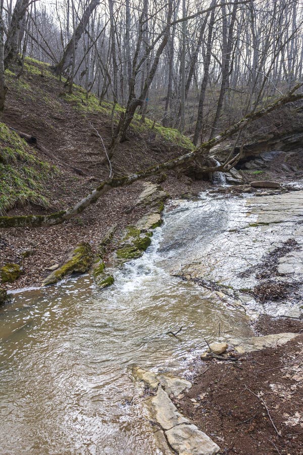 весна природа природный парк горная река в естественном канале с рапид и водопадами стоковая фотография