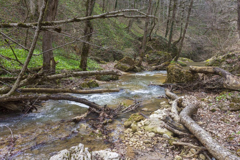 весна природа природный парк горная река в естественном канале с рапид и водопадами стоковое фото rf
