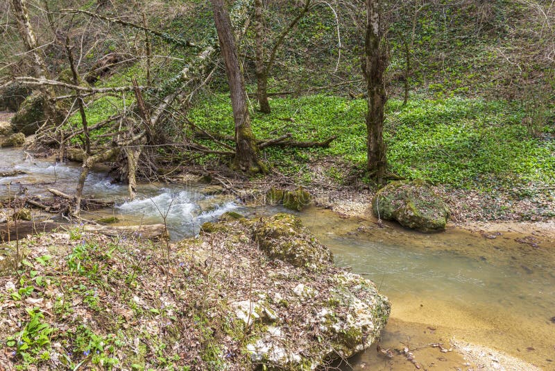 весна природа природный парк горная река в естественном канале с рапид и водопадами стоковое фото