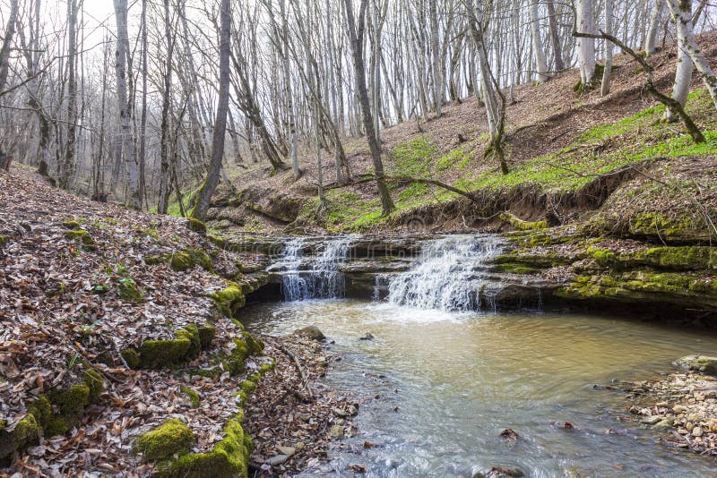 весна природа природный парк горная река в естественном канале с рапид и водопадами стоковое фото rf