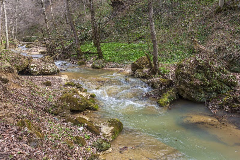 весна природа природный парк горная река в естественном канале с рапид и водопадами стоковые фотографии rf