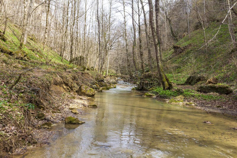 весна природа природный парк горная река в естественном канале с рапид и водопадами стоковые изображения rf