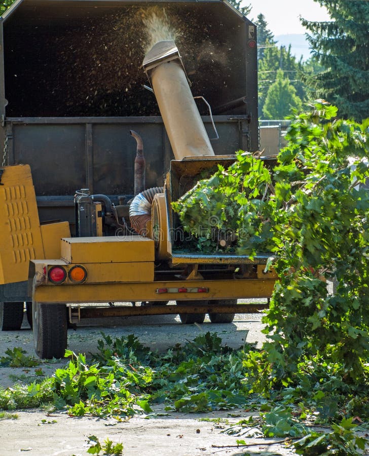 Ветви в Chipper древесины стоковые изображения rf Ветви в Chipper древесины стоковые изображения rf