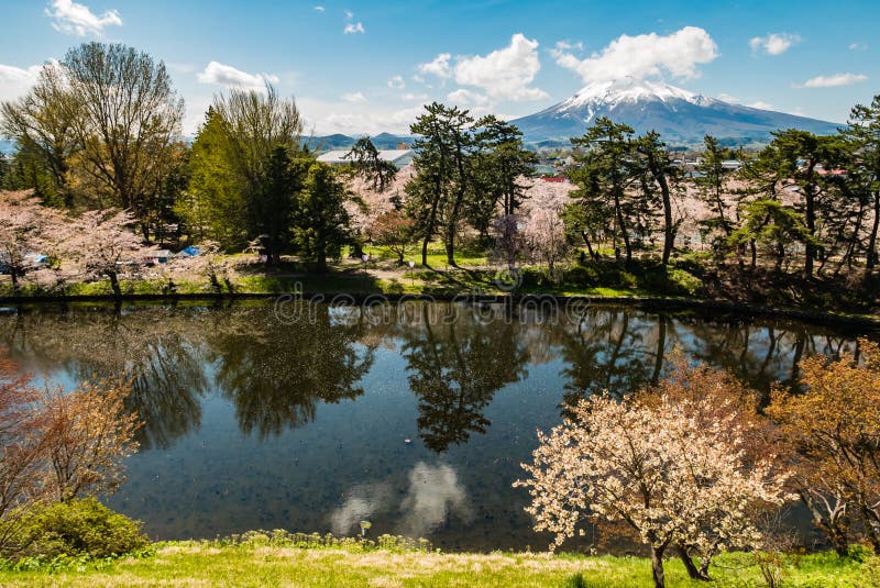 Взгляд Iwaki держателя от парка замка Hirosaki стоковая фотография rf Взгляд Iwaki держателя от парка замка Hirosaki стоковая фотография rf