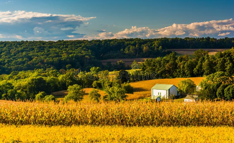 Взгляд Rolling Hills приближает к перекрестным дорогам, Пенсильвании стоковая фотография rf