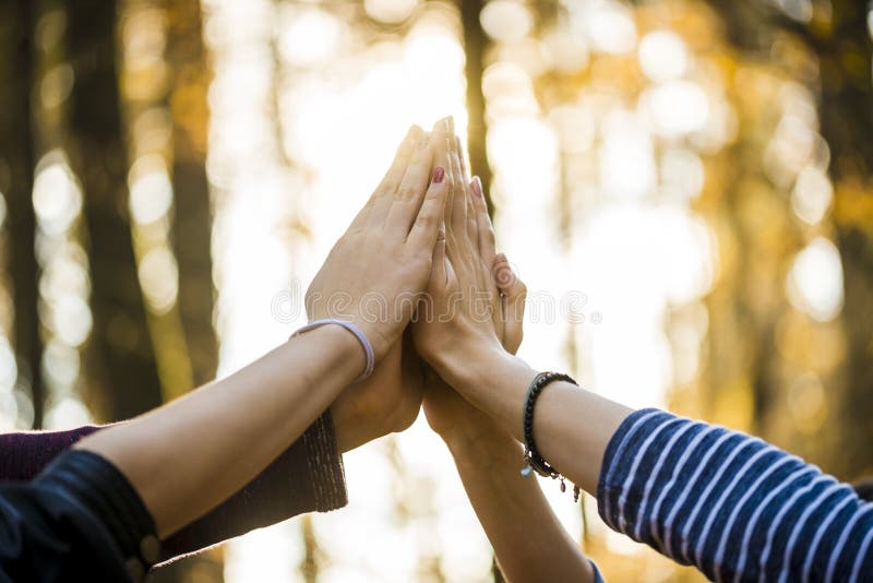 Closeup view of four people joining their hands together high up in the air outside in a forested area. Closeup view of four people joining their hands together high up in the air outside in a forested area.