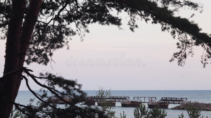 Взгляд дня прошел мимо на побережье моря мост старый Природа день солнечный Timelapse видеоматериал
