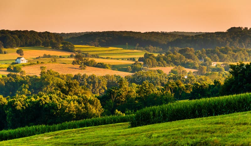 Взгляд полей Rolling Hills и фермы на заходе солнца, в сельском Йорке c стоковая фотография rf