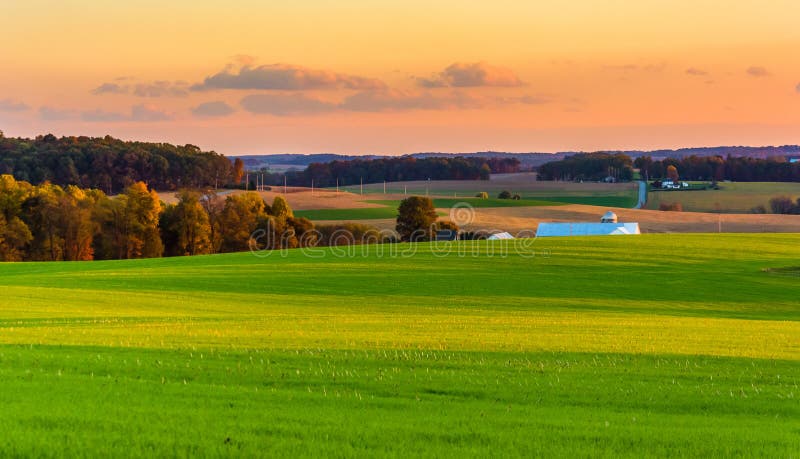 Взгляд полей Rolling Hills и фермы на заходе солнца в сельском Йорке Co стоковые фотографии rf