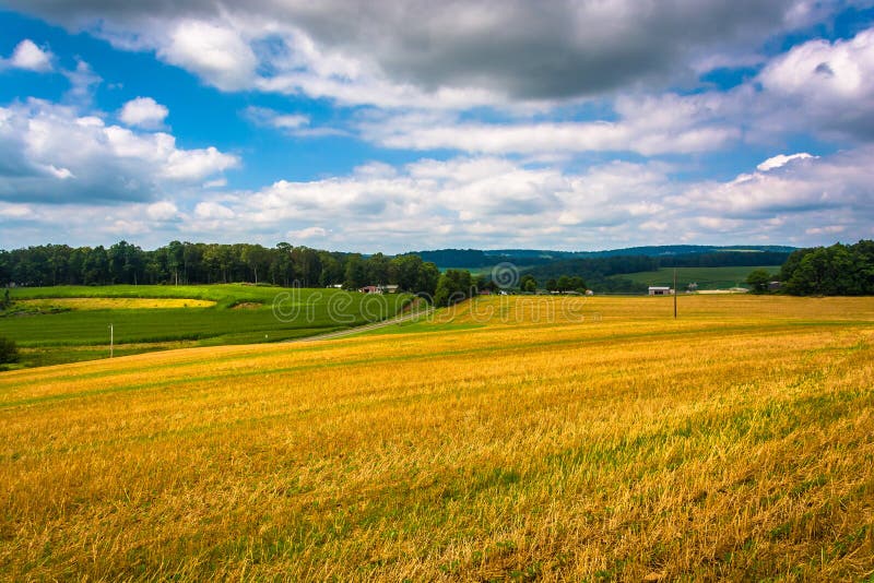 Взгляд полей фермы и Rolling Hills в сельском Carroll County, m стоковые изображения