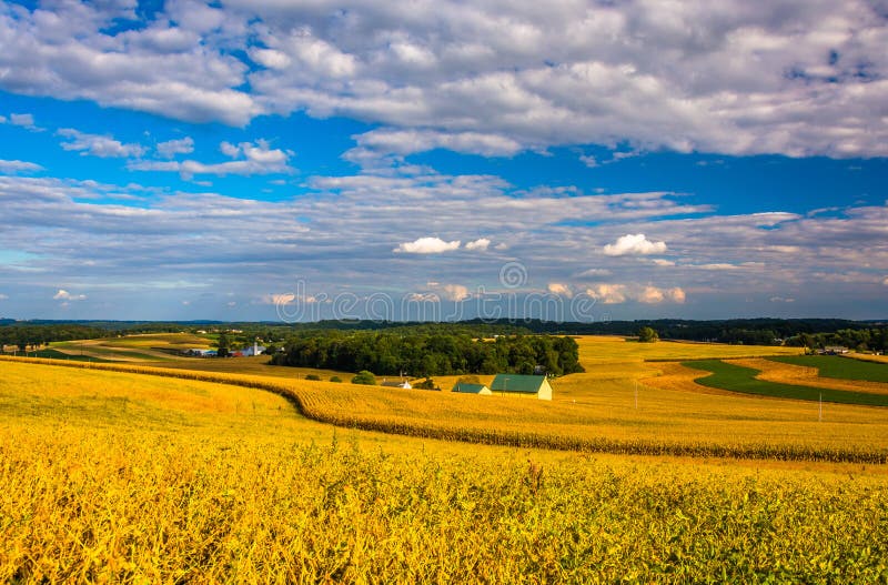 Взгляд полей фермы и Rolling Hills от холма в сельском Йорке стоковое фото