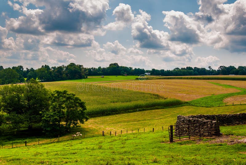 Взгляд фермы и Rolling Hills в сельском Baltimore County, Mary стоковые фотографии rf